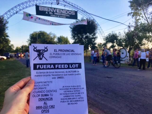 feedlotelprovincial28
