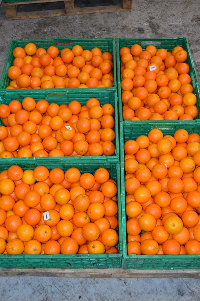 naranjas en baja