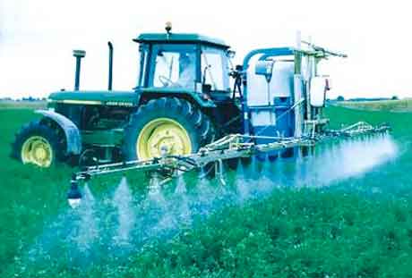 Agricultura: productores de CREA esperan un mejor rendimiento
