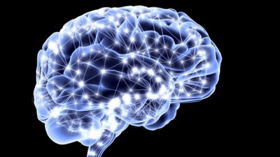 Los líderes políticos y sociales deberían considerar prioritaria la investigación en neurociencias
