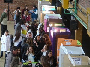 feria de ciencias 2013