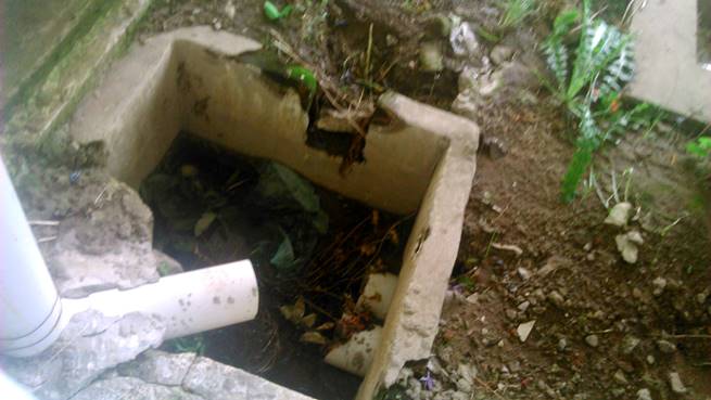 «Estado lamentable en que se encuentra el Cementerio local»