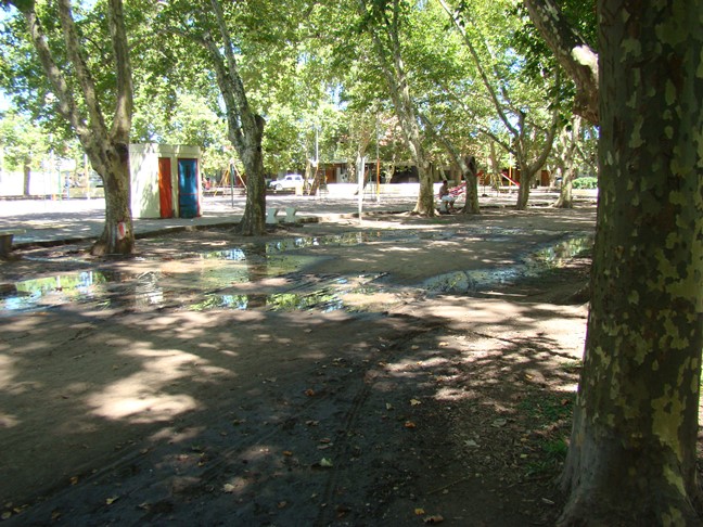 Se le debe prestar más atención mantenimiento del Parque