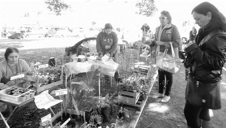 Se desarrolló la primera Fiesta de la Agricultura Familiar
