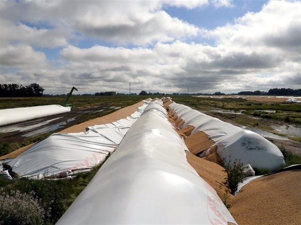 SILOS-BOLSASCARGILL-TAPA