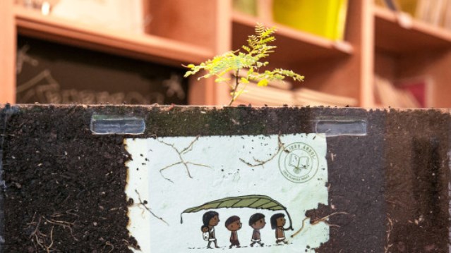 Se presentará «Libro Arbol»