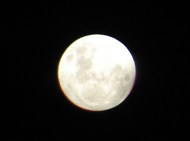 LUNA26