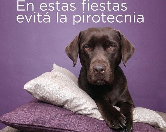Una navidad sin pirotecnia