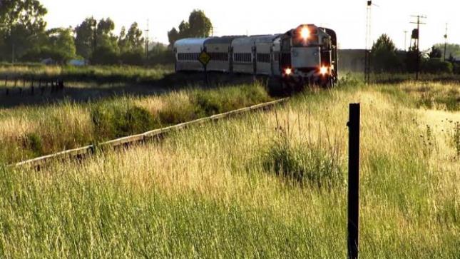 Desde Ferrobaires confían en que durante Febrero vuelva el tren a Once