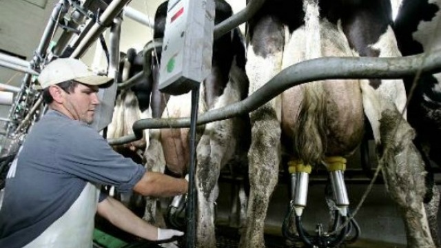 Oficializan compensaciones para Tamberos con aportes estatales por $600 millones