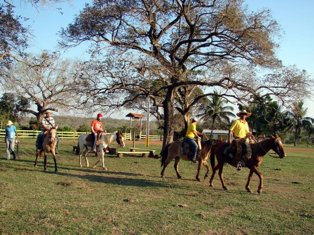 Tecnicatura en Turismo Rural en la Facultad de Agronomía de la UBA