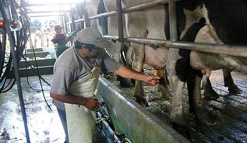 Productores rurales de 9 de Julio se movilizan a Trenque Lauquen