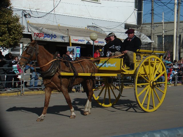 DESFILE11-6