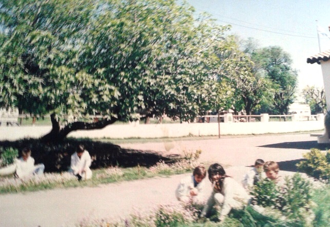 ESCUELA24-13