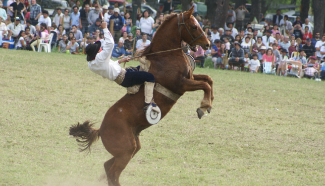 fiesta del caballo