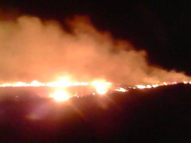 incendios7