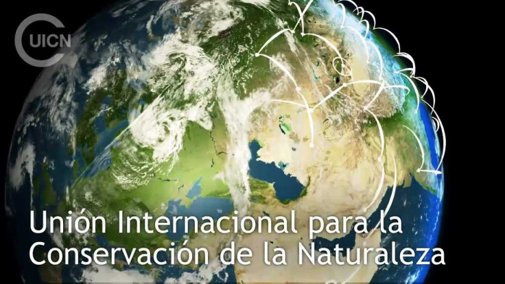 UICN, trabajamos en mas de 160 paises por las conservacion