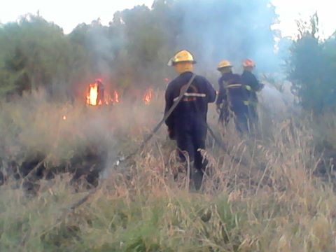 incendios12