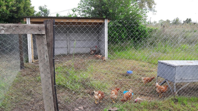 trabajosenquiroga23-2