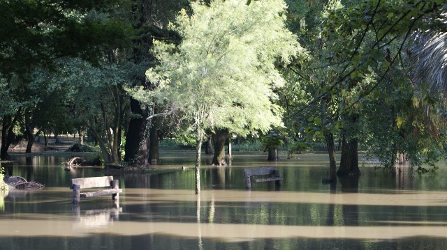 lluvia-parque9