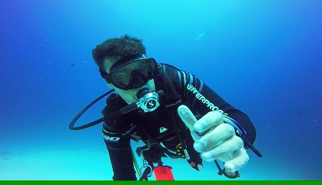 BUCEO2