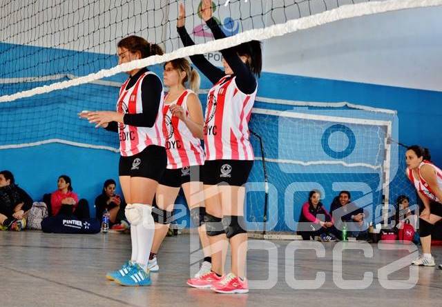 voley29