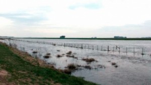 inundaciones3