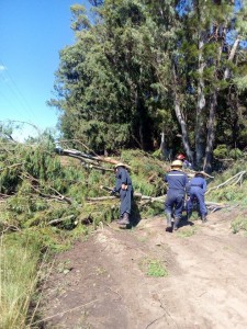 TORMENTA18