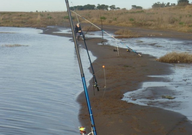 laguna-hinojo-grande-801x563