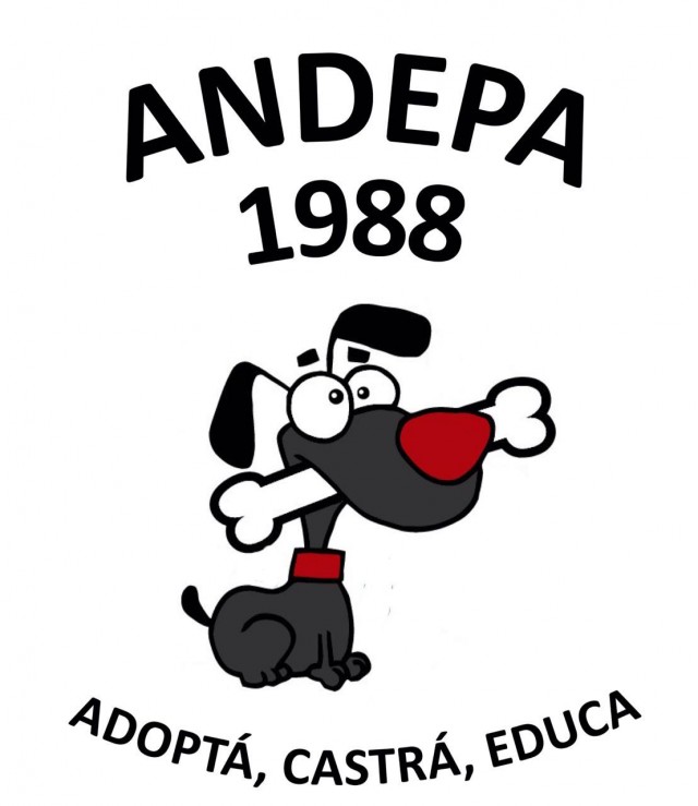 andepa7-2