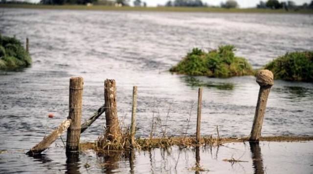 Campos inundados en Chascomus. foto Gustavo Castaing