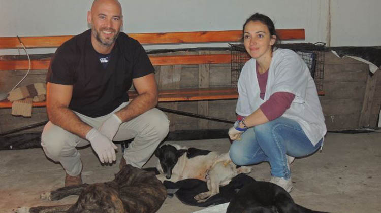 CAMPAÑA DE CASTRACION DE MASCOTAS
