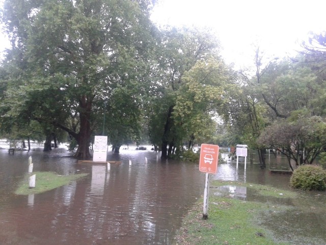 lluvia25-parque (1)