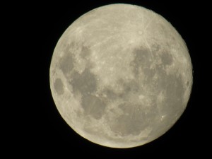 LUNA19-2