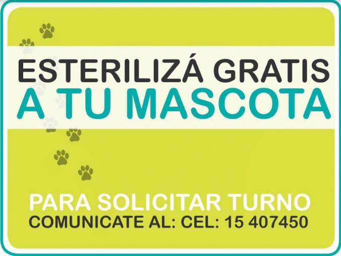mascotas