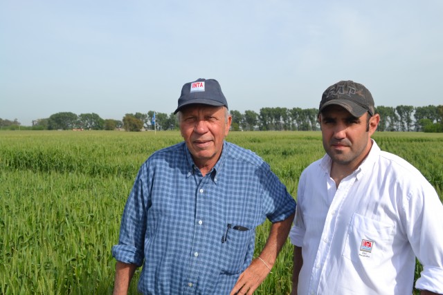 Luis Ventimiglia y Lisandro Torrens tendran a su cargo la disertacion sobre trigo y cebada en la Rural