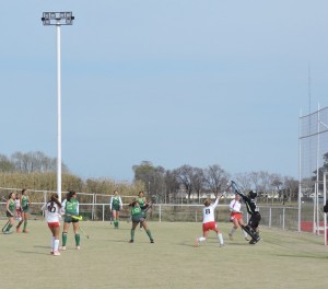 hockey20previo al gol