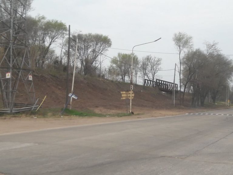 Se efectuará una reforestación y parquización en el «Puente Negro»