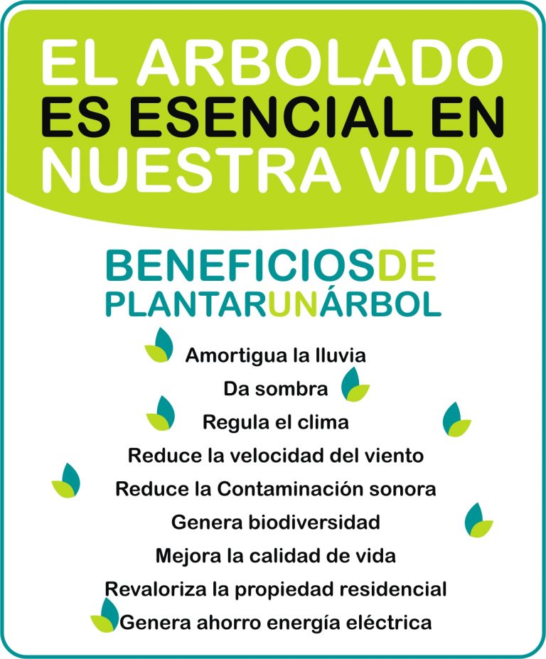 Charla de Espacios Verdes sobre los beneficios de los árboles