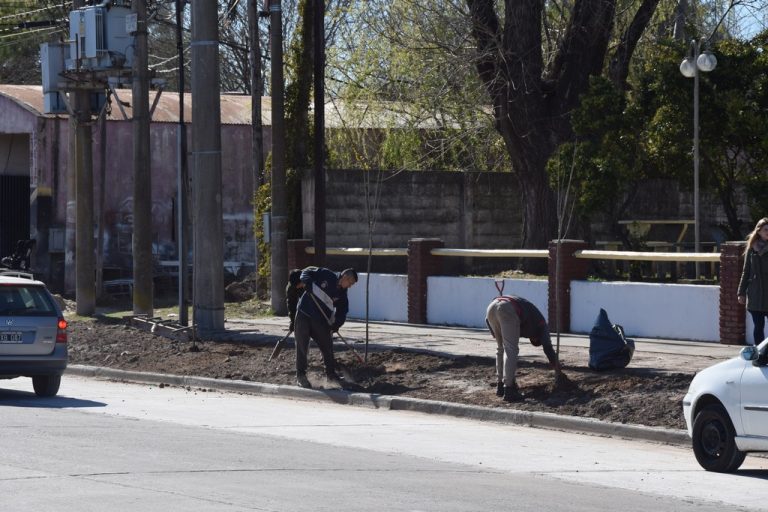 Forestación y nuevo ingreso a la guardia del Hospital