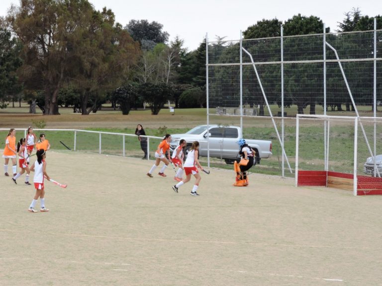 Torneo amistoso de octava división