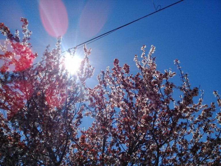 La llegada de la primavera