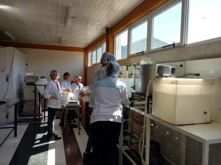 Escuela Técnica Nro 2: Trabajo práctico de elaboración de bebidas fermentadas