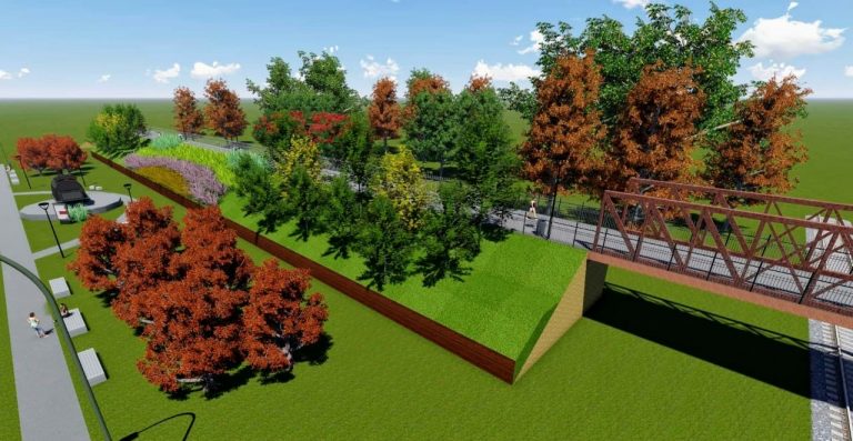 «Puente Negro» : se efectuará una reforestación y parquización