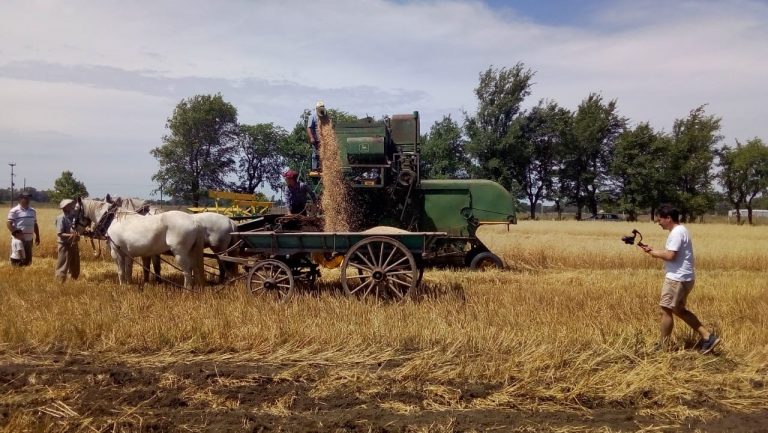 Se realizó la 3ra Muestra de Maquinarias Agrícolas Antiguas
