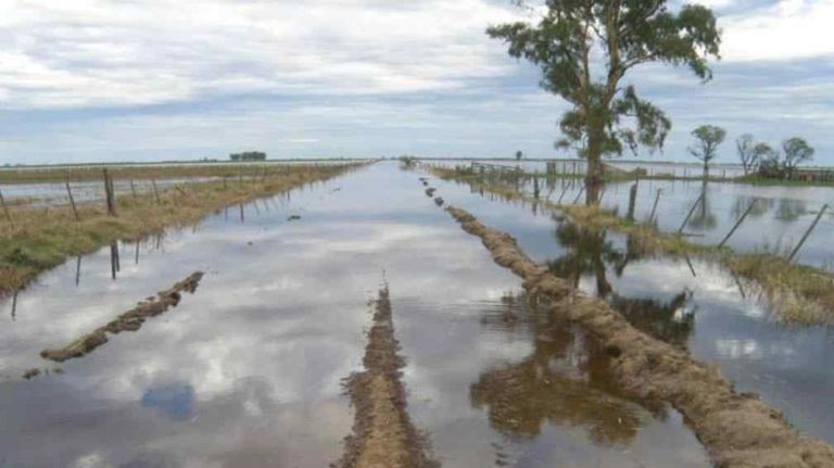 Un estudio del INTA reveló problemas de drenaje en caminos rurales