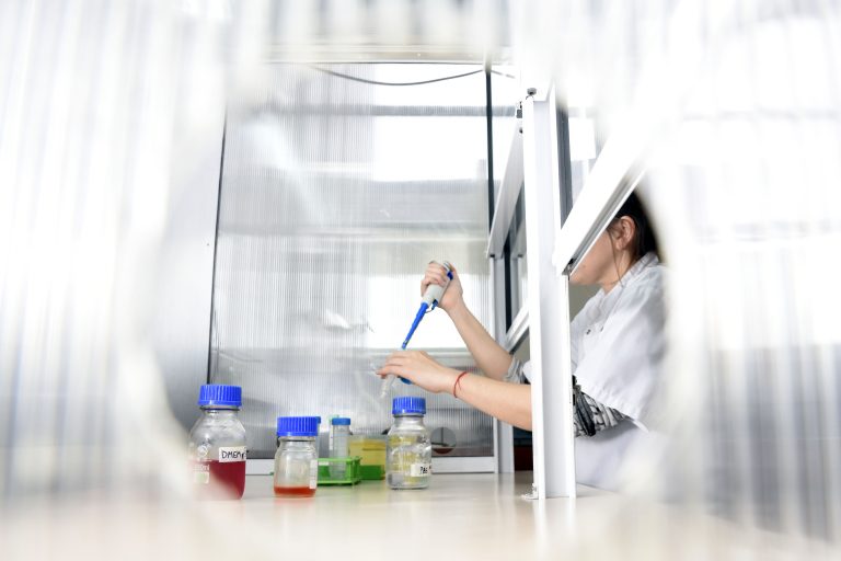 Investigadores de la UNLP buscan bajar el colesterol con la mandarina