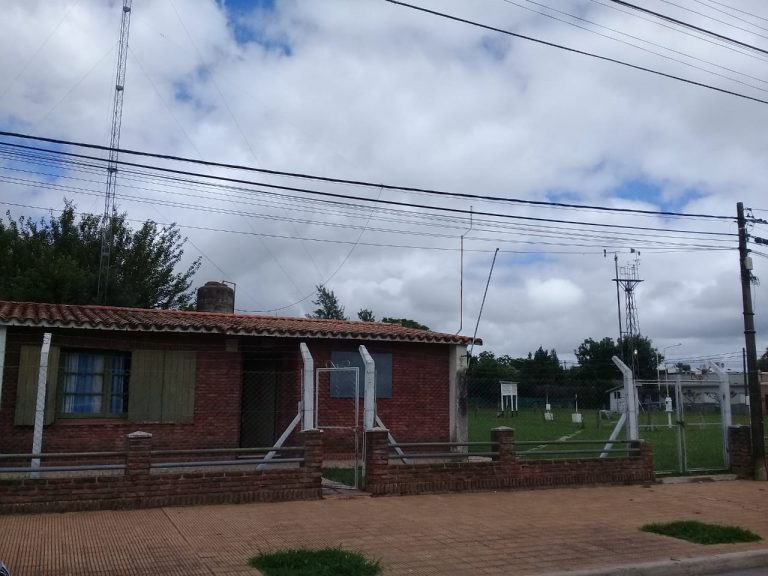 1010 mm. cayeron en el 2019