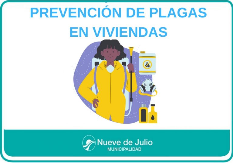 Plagas: medidas preventivas para los hogares