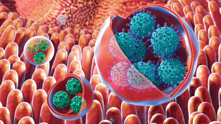 Virus entéricos, por Lic. en Nutrición Sofía Villarrica